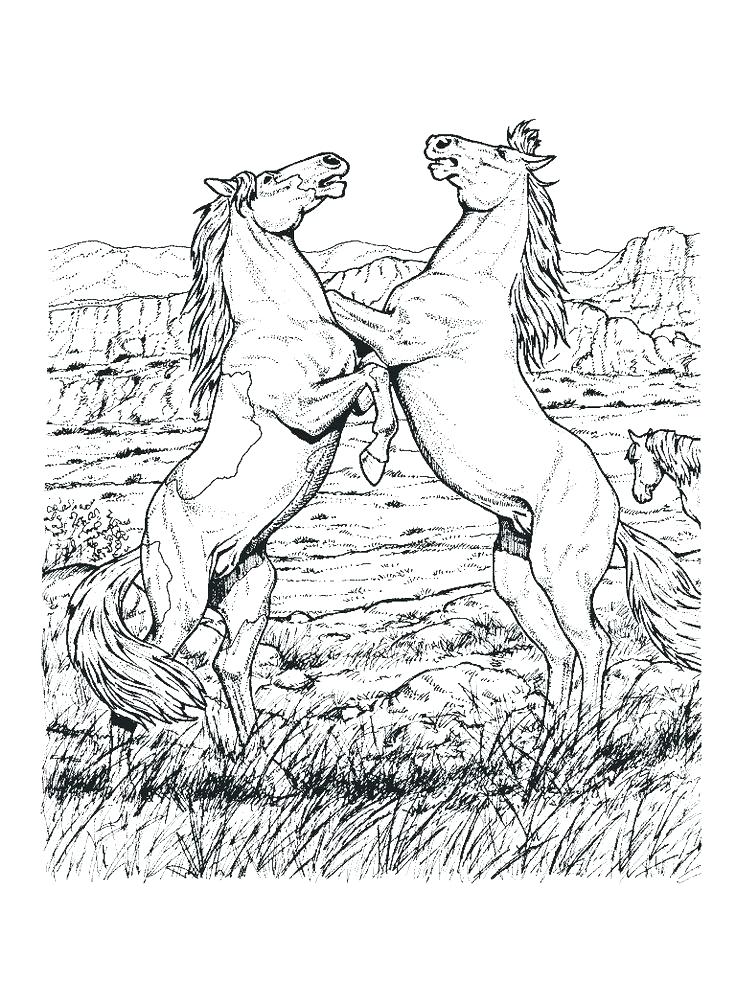 736x981 Race Horse Coloring Pages Free Coloring Pages Of Horses Free