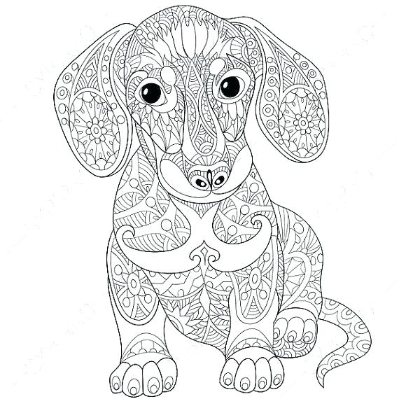 570x570 Realistic Animal Coloring Pages Animal Coloring Pages For Adults