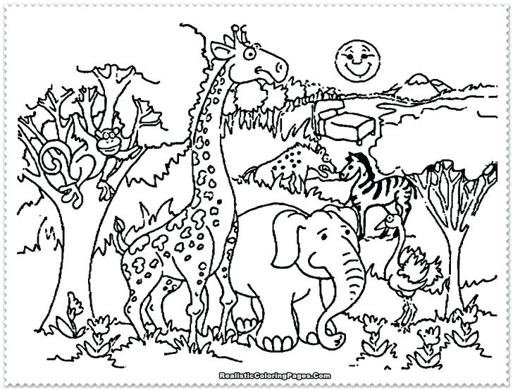 728x553 Safari Animals Coloring Pages Printable Pictures Ostrich Runs