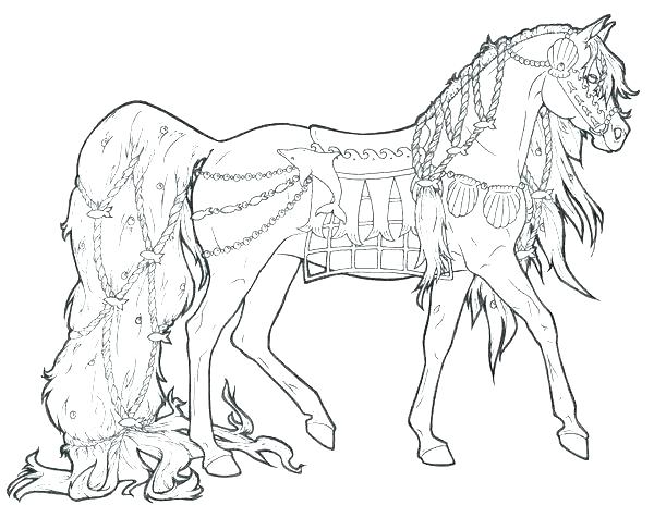 600x476 Real Animal Coloring Pages Professional