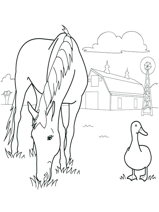 618x824 Coloring Pages Of Farm Animals Realistic Animal Coloring Pages