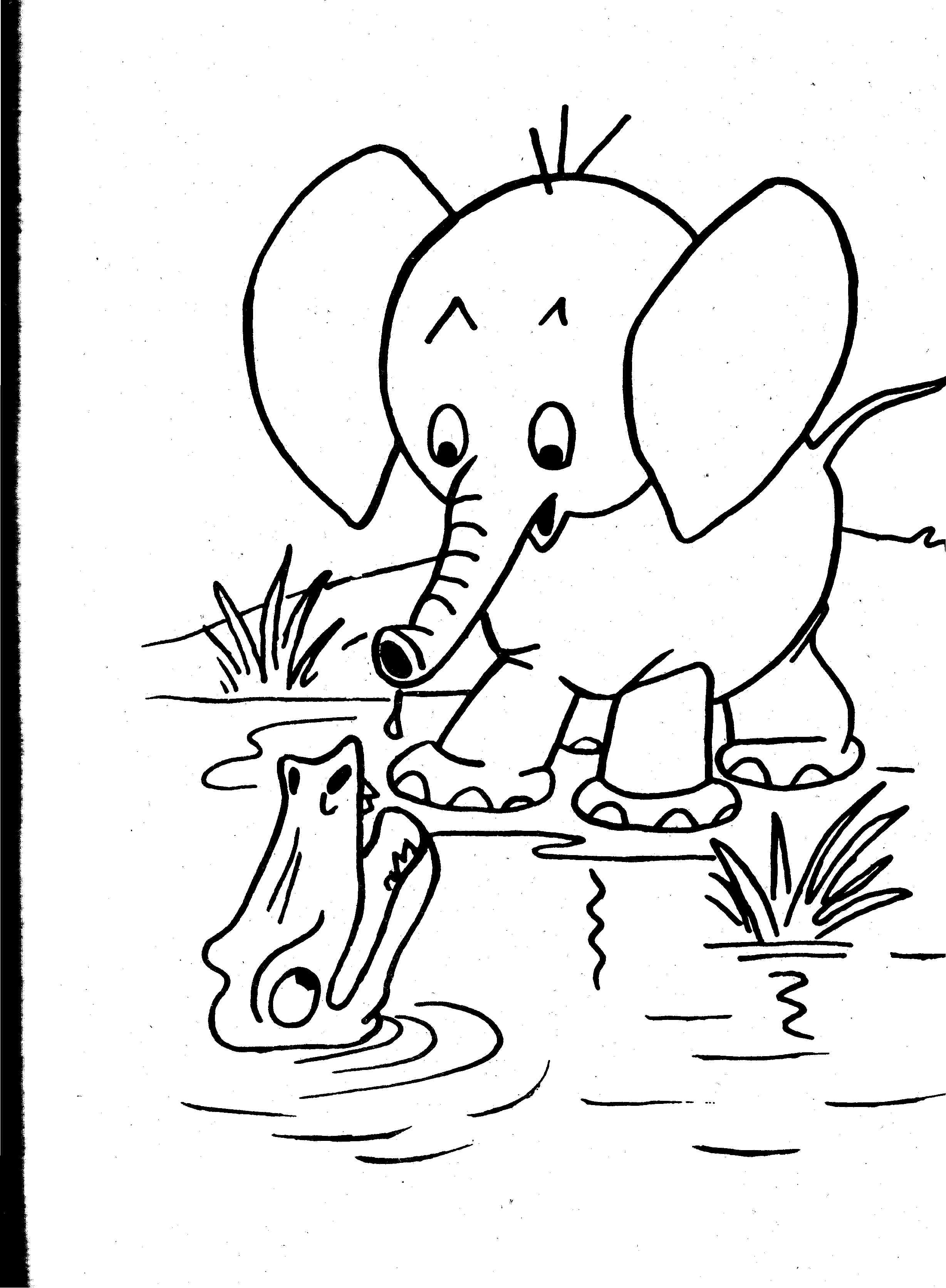 2456x3344 Colouring Pages Of Wild Animals Elvisbonaparte Coloring