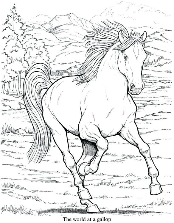 584x750 Cool Animal Coloring Pages Realistic Animal Coloring Pages Hard