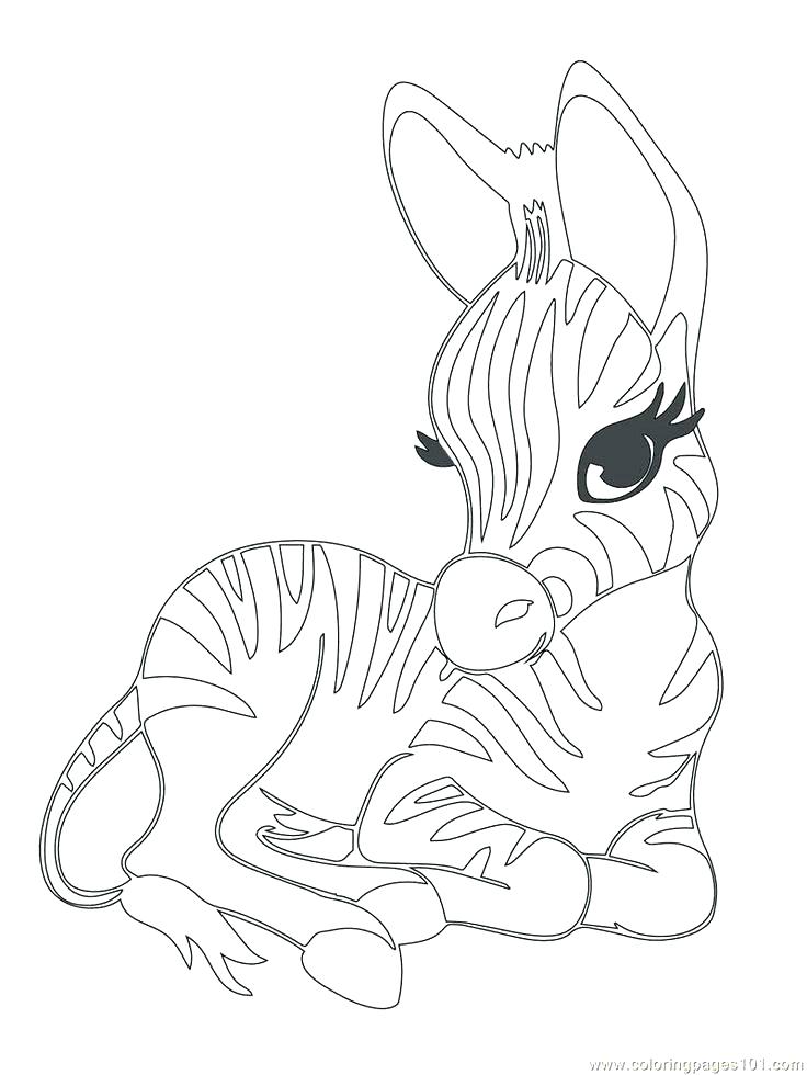 736x980 Baby Animal Coloring Pages Free