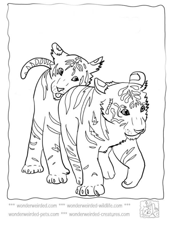 612x792 Baby Tiger Coloring Pages