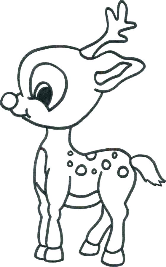 560x900 Animal Coloring Pages Animal Coloring Pages Baby Animal Coloring