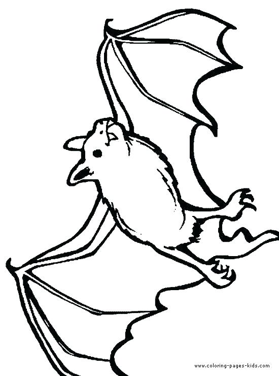 550x740 Bat Printable Coloring Pages Vanda