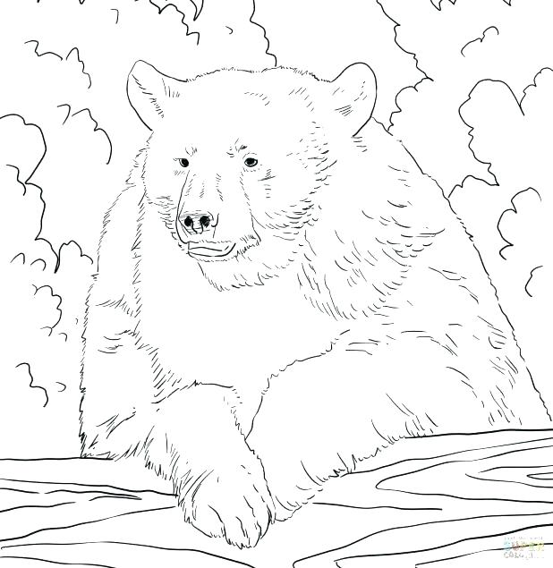 618x635 Brown Bear Coloring Page
