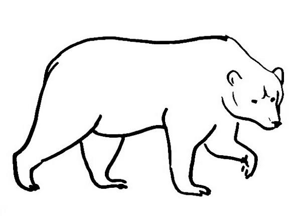 600x430 Bear Coloring Pages