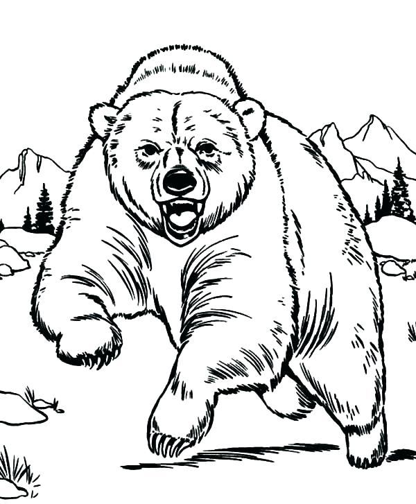600x727 Black Bear Coloring Page Black Bear Coloring Page Coloring Bear