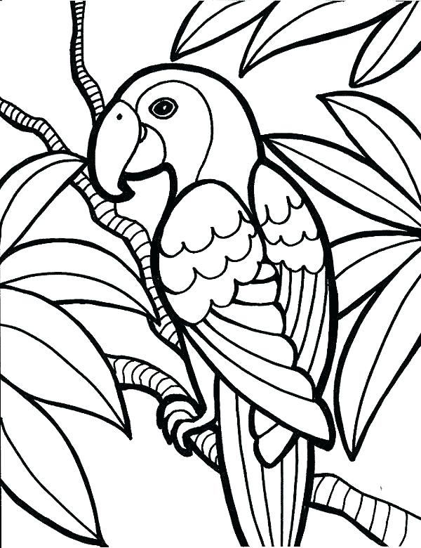 600x780 Coloring Pages Birds Love Birds Coloring Pages Bird Coloring Books