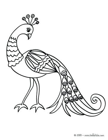 363x470 Coloring Pages Of Birds Breathtaking Coloring Pages Birds