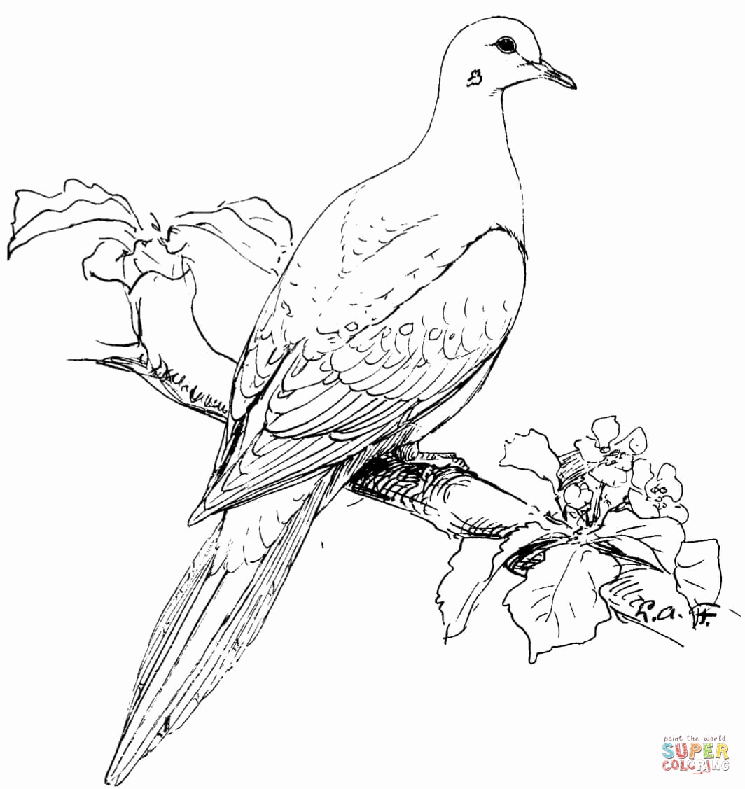 1064x1127 Printable Bird Coloring Pages Pictures Bird Coloring Pages Free