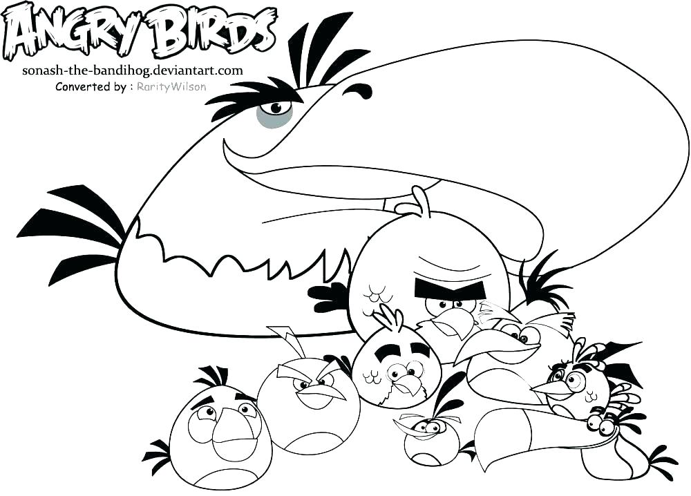 1000x718 Printable Realistic Bird Coloring Pages Printable Coloring