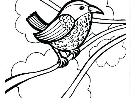 440x330 Realistic Flowers Coloring Pages Print Printable Coloring