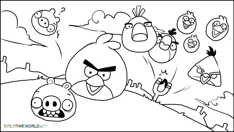 775x438 Coloring Page Birds S Coloring Pages Birds And Insects
