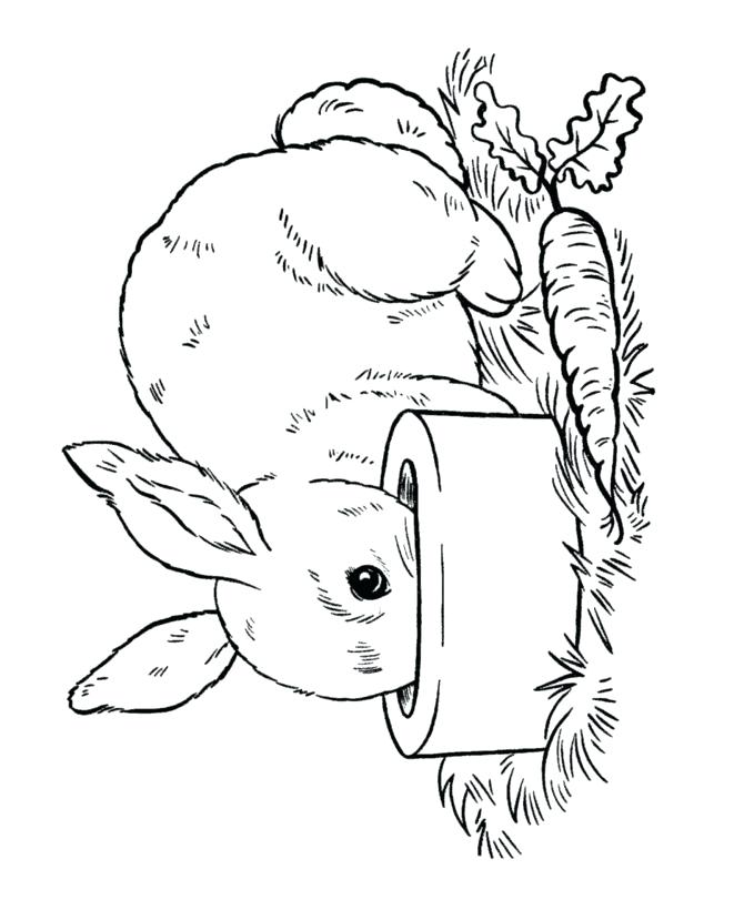 670x820 Bunny Coloring Pages Printable Collections Bunny Coloring Pages