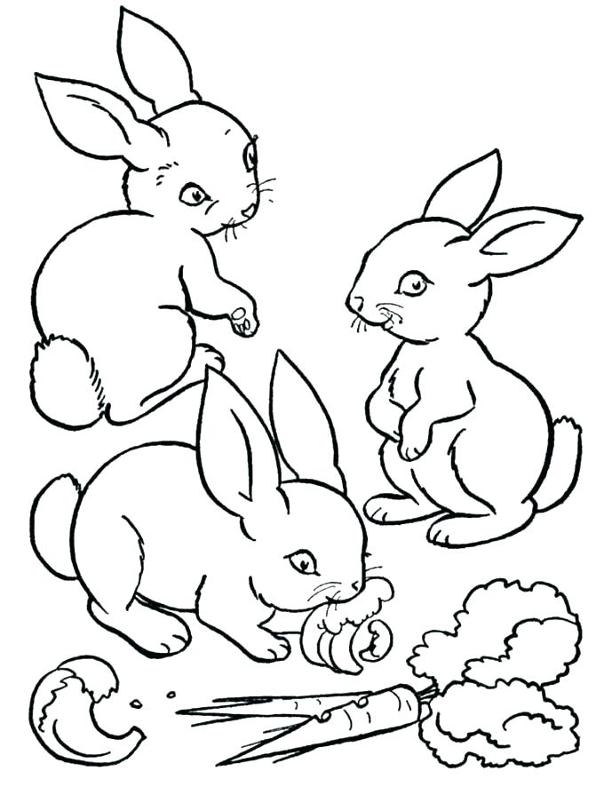671x895 Coloring Pages Bunnies Realistic Bunny Coloring Page Copy Rabbit