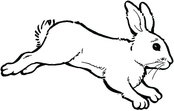 600x383 Bunny Coloring Page