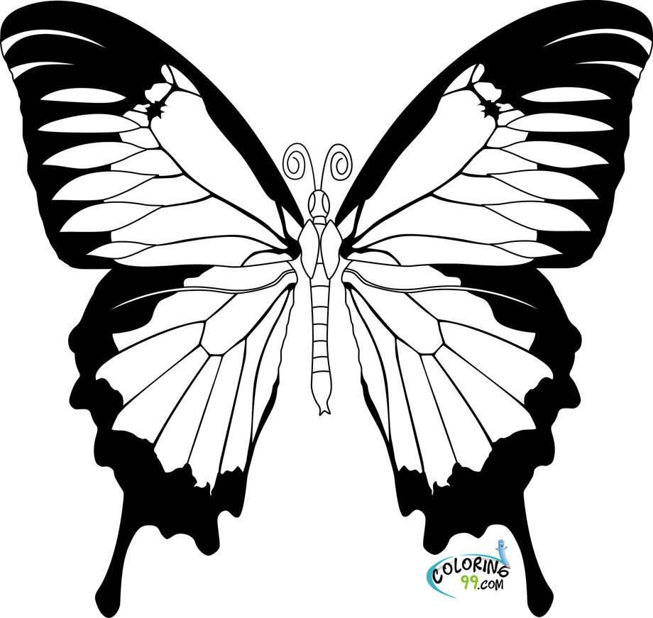 Adult Coloring Butterfly Coloring Pages