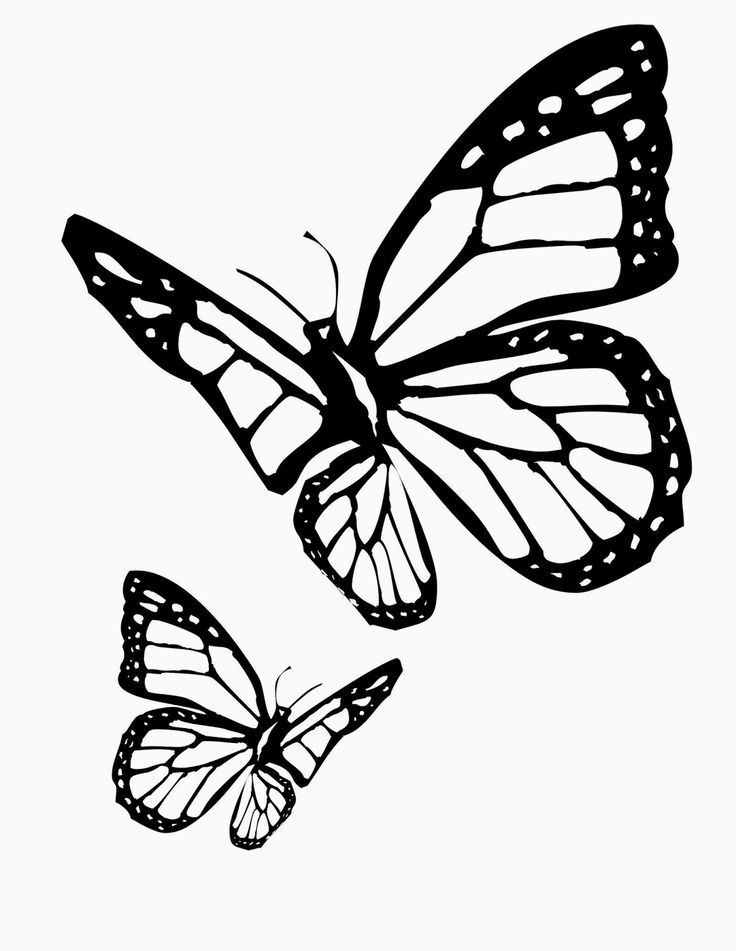 736x951 Monarch Butterfly Clipart Two