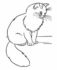 236x288 Printable Realistic Cat Coloring Pages