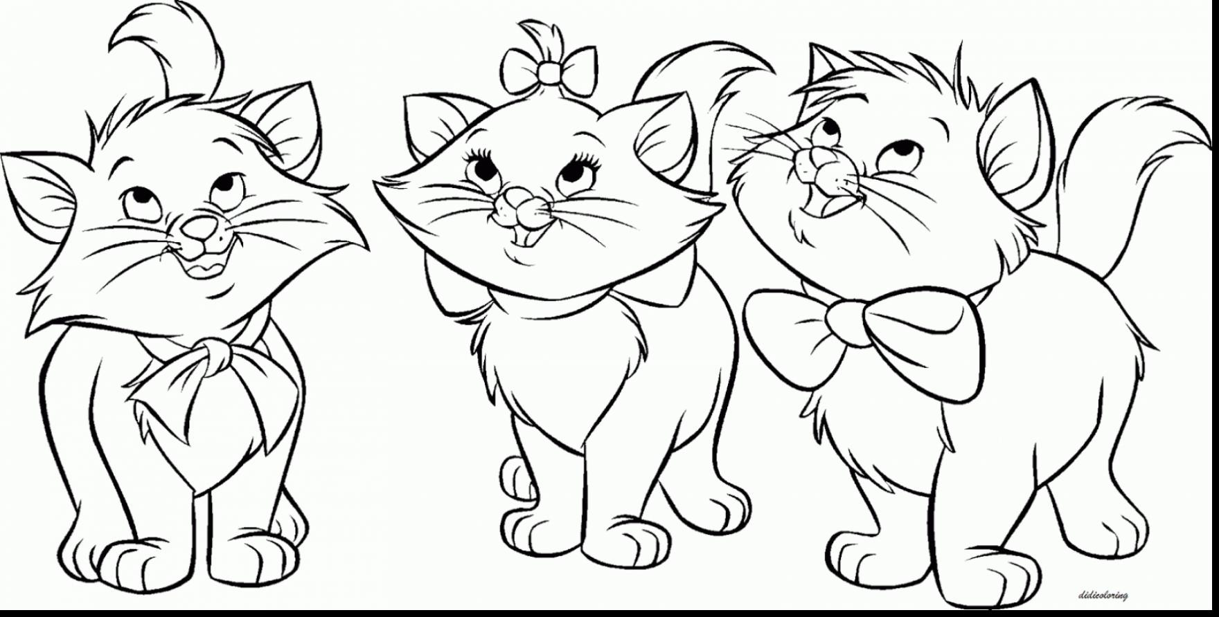 1760x892 Realistic Cat Coloring Pages Exceptional To Print Wagashiya