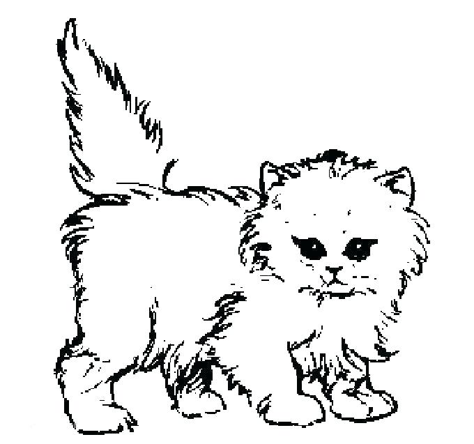 680x637 Realistic Cat Coloring Pages Free Kitten Coloring Pages Baby Cat