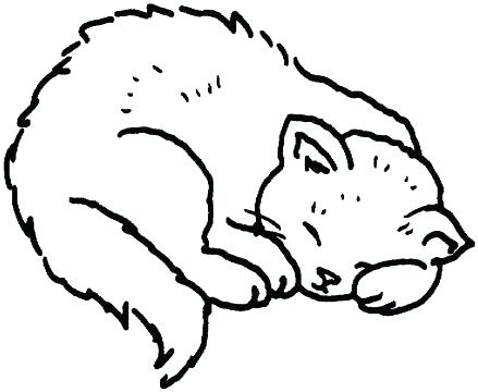 439x360 Realistic Cat Coloring Pages Together With Kitty Cat Color Pages S
