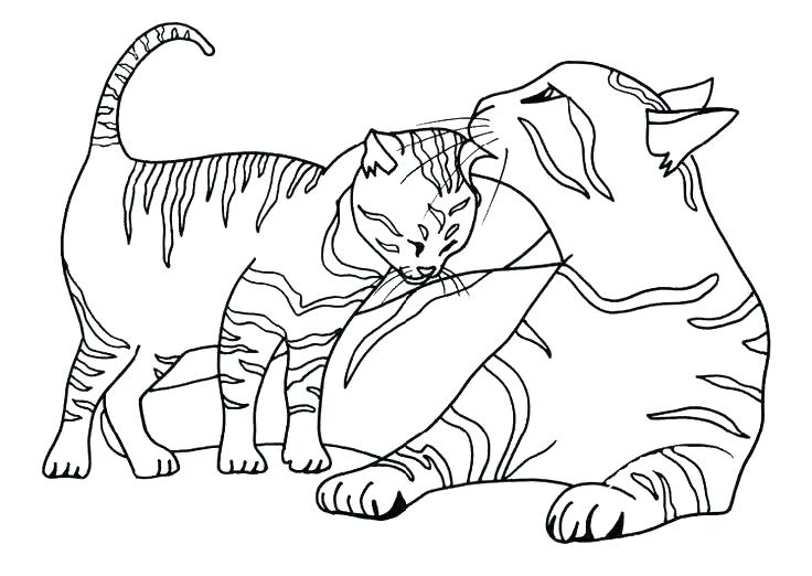 736x522 Coloring Pages Animals Realistic