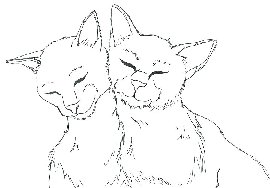 Realistic Cat Coloring Pages at GetDrawings | Free download