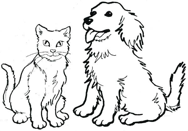 600x420 Cats Coloring Pages Realistic Cat Coloring Pages Printable