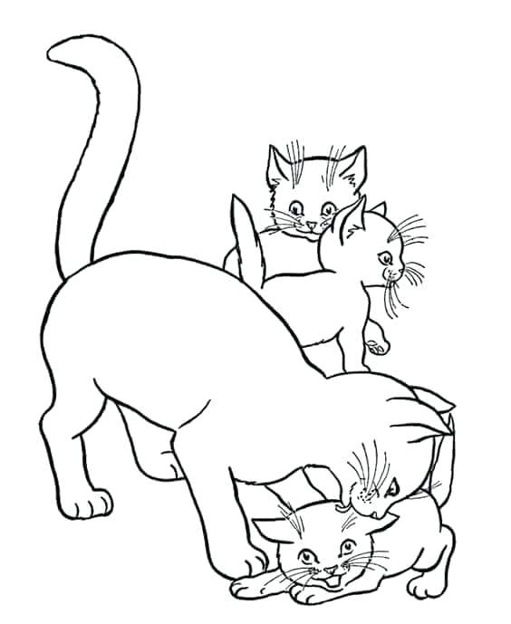 564x689 Realistic Cat Coloring Pages Printable Free Fuhrer Von