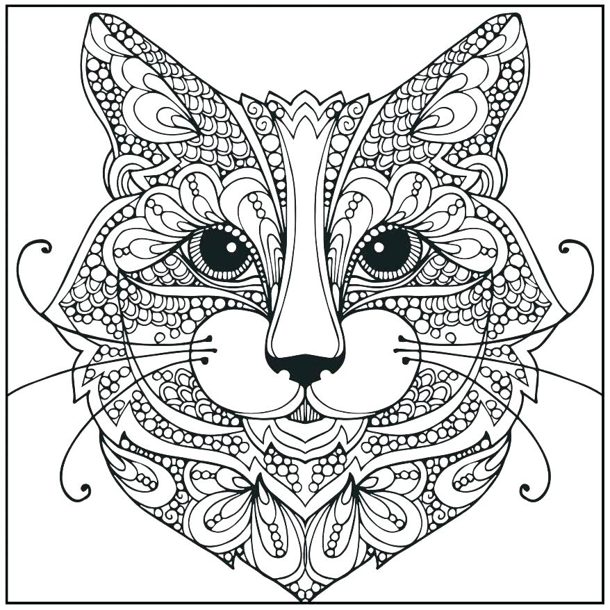 878x878 Realistic Cat Coloring Pages Realistic Cat Coloring Pages