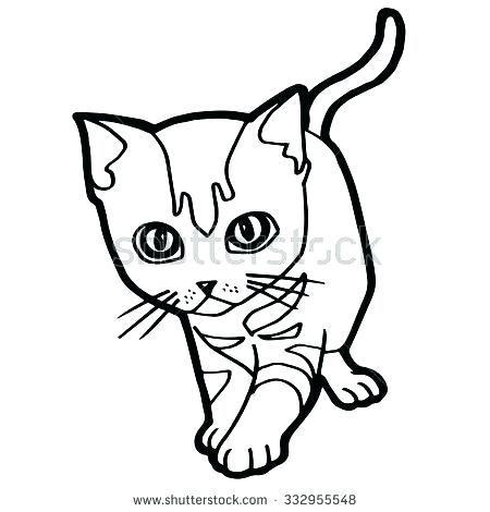 450x470 Tabby Cat Coloring Pages Realistic Cat Coloring Pages Cat Coloring