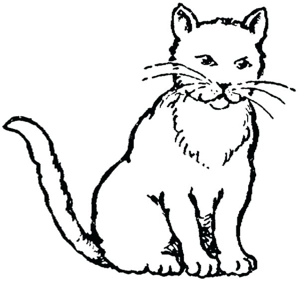 600x564 Cat Coloring Page Realistic Cat Coloring Pages Printable Realistic