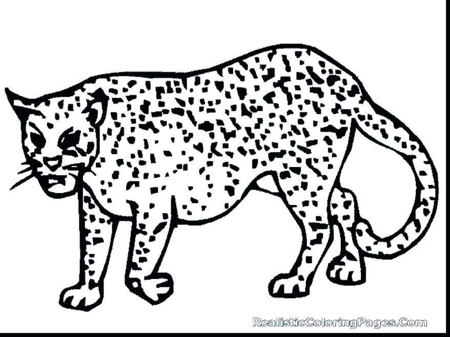 878x658 Cheetah Coloring Pages Cheetah Face Coloring Page Cute Baby