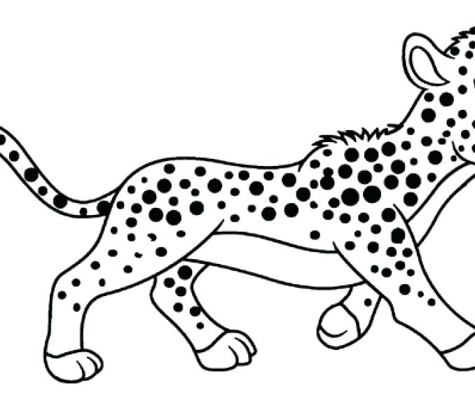 678x580 Cheetah Coloring Pages Free Printable Cheetah Coloring Pages Real