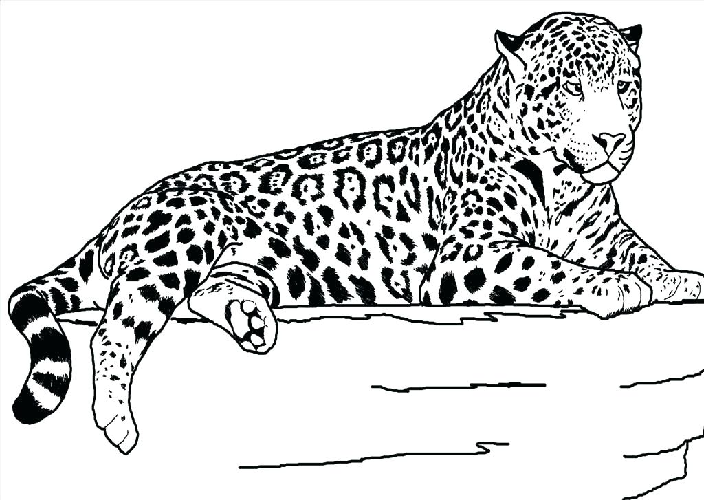 1024x727 Cheetah Coloring Pages Cheetah Coloring Pages For Kids Minecraft