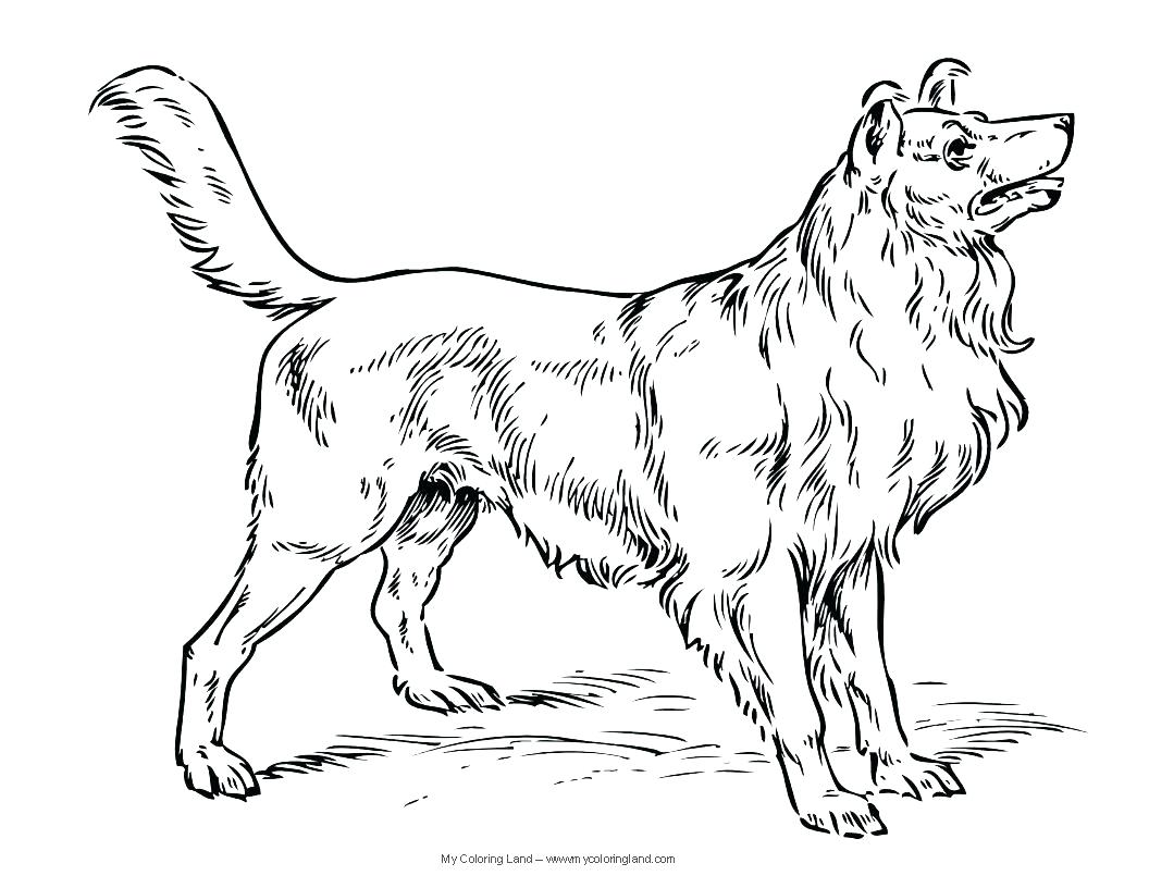 1056x816 Realistic Coloring Pages Of Dogs