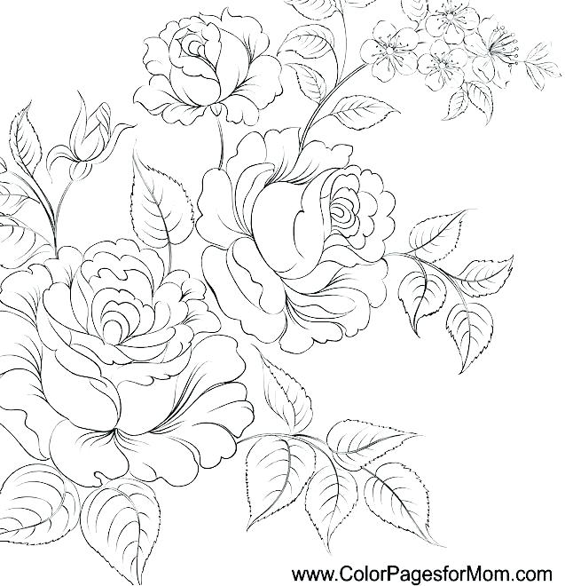 637x660 Flowers Coloring Pages Free Printable Realistic Flower Coloring
