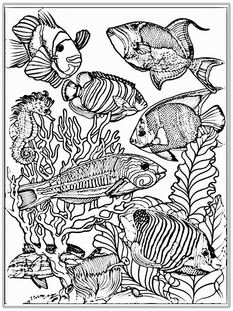 768x1024 Adult Free Fish Coloring Pages Realistic Coloring Pages