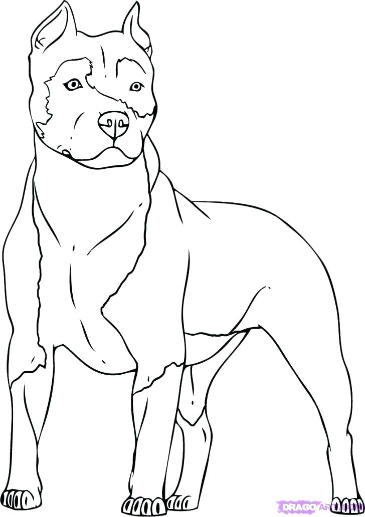728x1032 Realistic Dog Coloring Pages Dogs Pictures To Color Dog Color