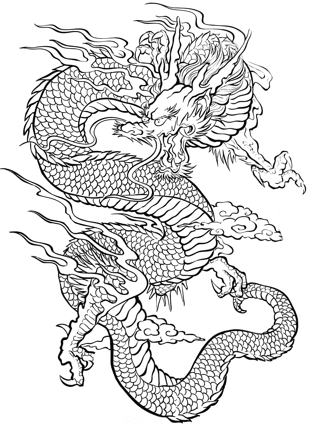 1236x1701 Focus Chinese Dragon Coloring Page Dragons And Fairies Pages Below