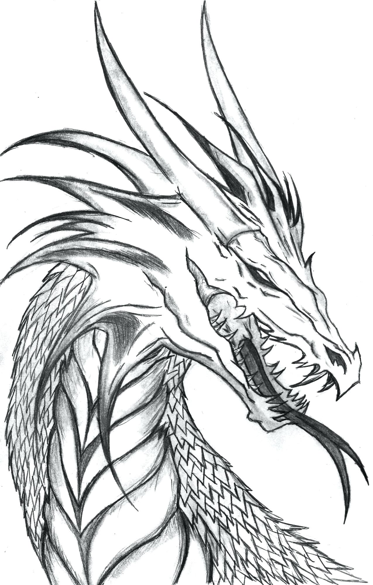 1275x2000 Unique Realistic Coloring Pages Of Dragons Rea