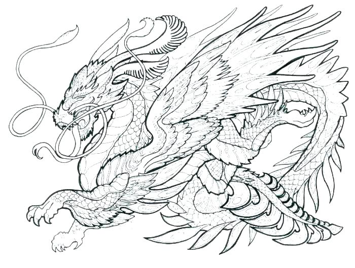 700x530 Dragon Coloring Pages Realistic