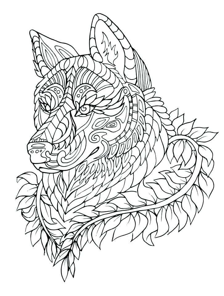 727x960 Realistic Wolf Coloring Pages Wolf Coloring Sheets Free Wolf