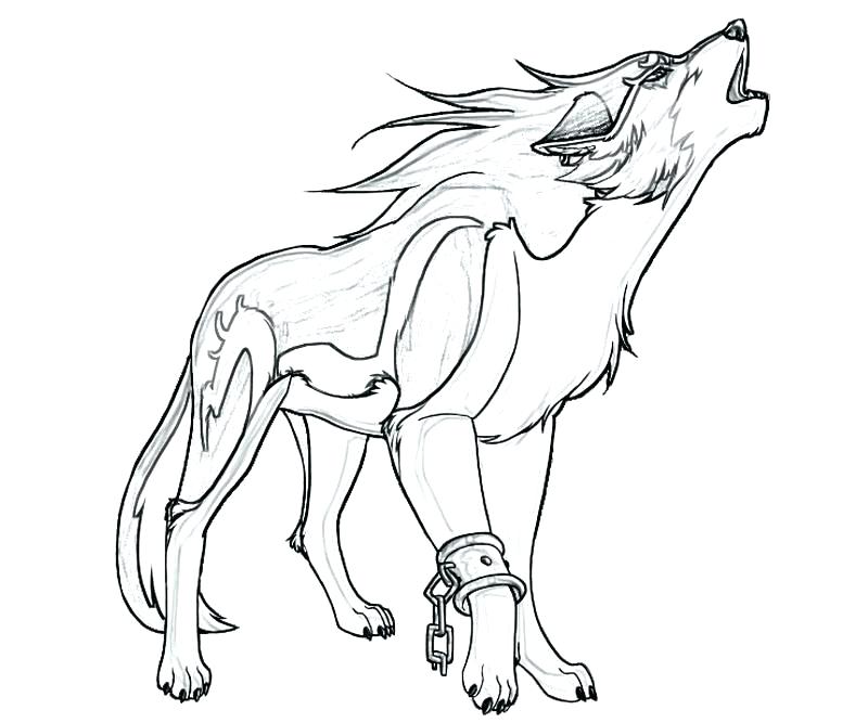 800x667 Wolf Coloring Page Wolf Coloring Pages Background Coloring
