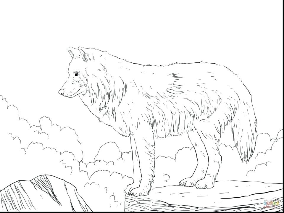 960x720 Free Printable Wolf Coloring Pages