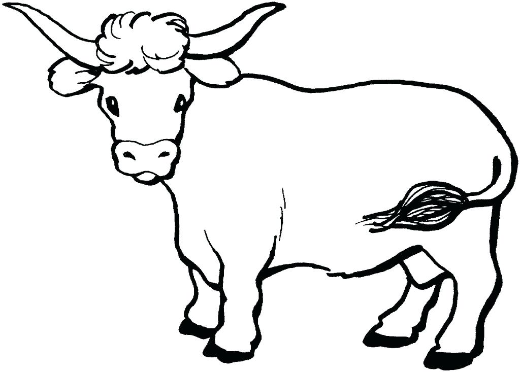 1024x733 Coloring Pages Of Cows Printable Coloring Pages Cattle Realistic